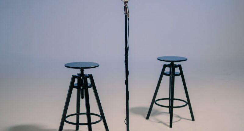 Photo Microphone stand
